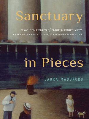 cover image of Sanctuary in Pieces